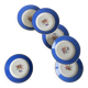 6 blue antique earthenware plates with flowers and gilding from Saint Amand Hamage.
