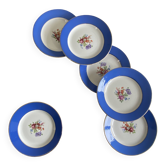 6 blue antique earthenware plates with flowers and gilding from Saint Amand Hamage.