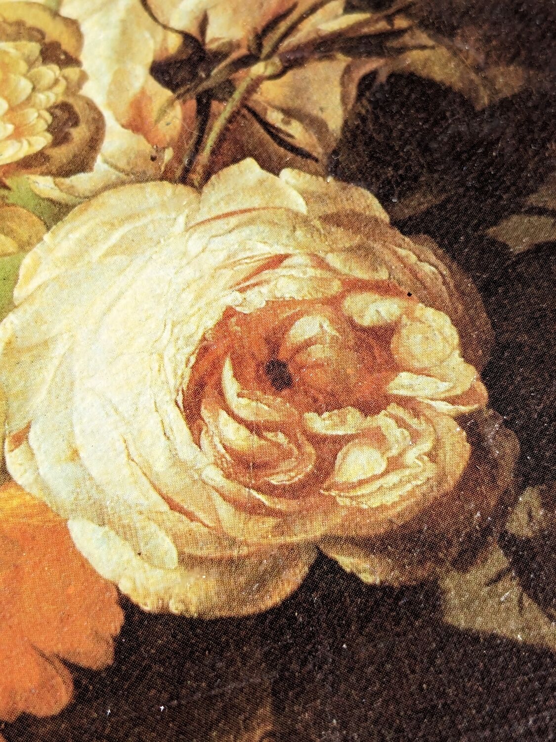 Painting of flowers by R. Ruysch