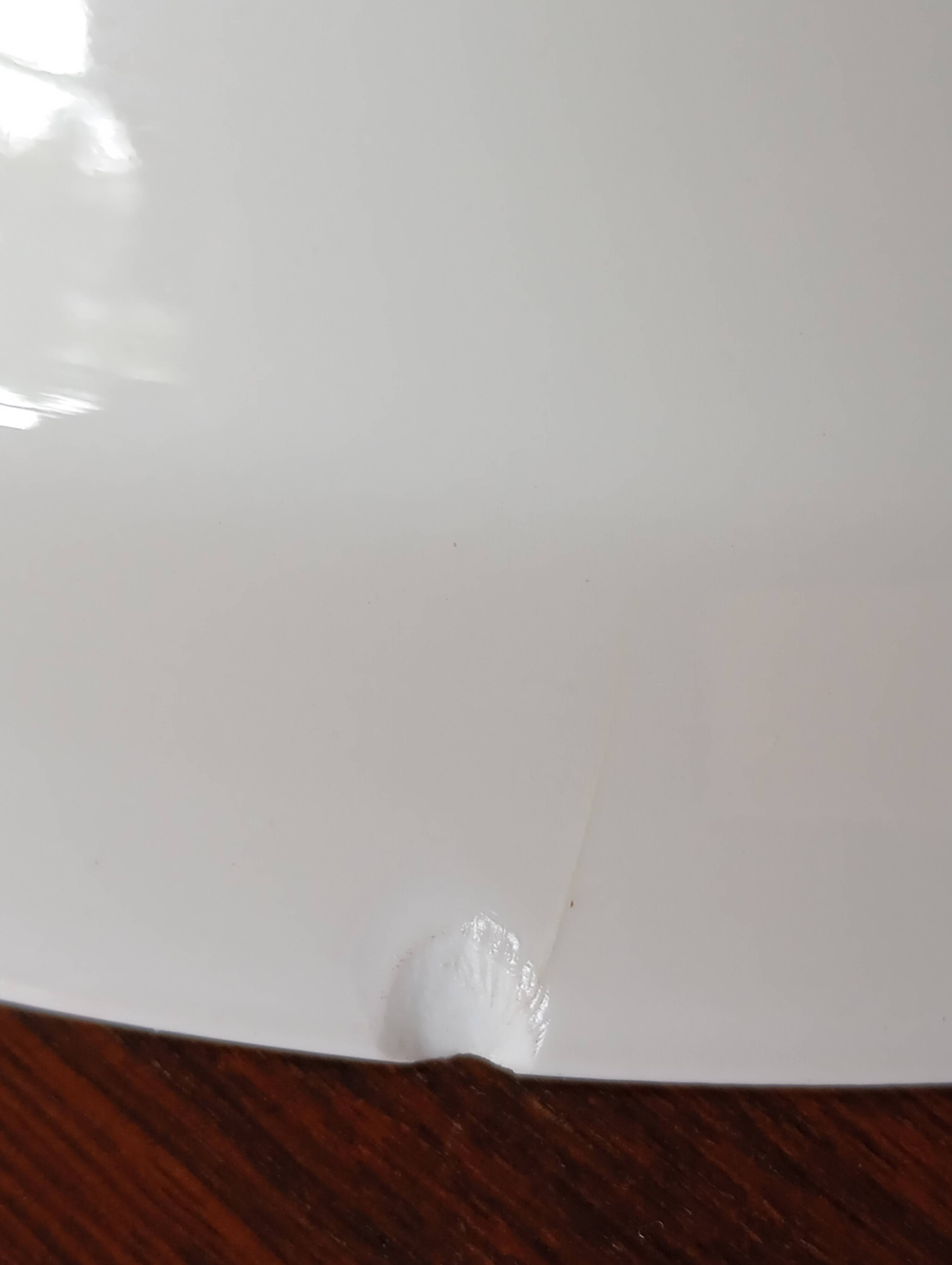 Bernardaud "Bussac" deep dish