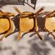 4 Baumann bistro chairs, different shades, vintage