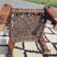 Traditional chair from Pakistan