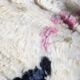 Handmade Tribal Azilal Rug - 209 x 180 cm