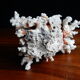 Ancient white coral from the 70s