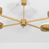 Supine celeste collection