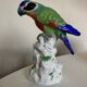 19th century Saxony porcelain parrot signed