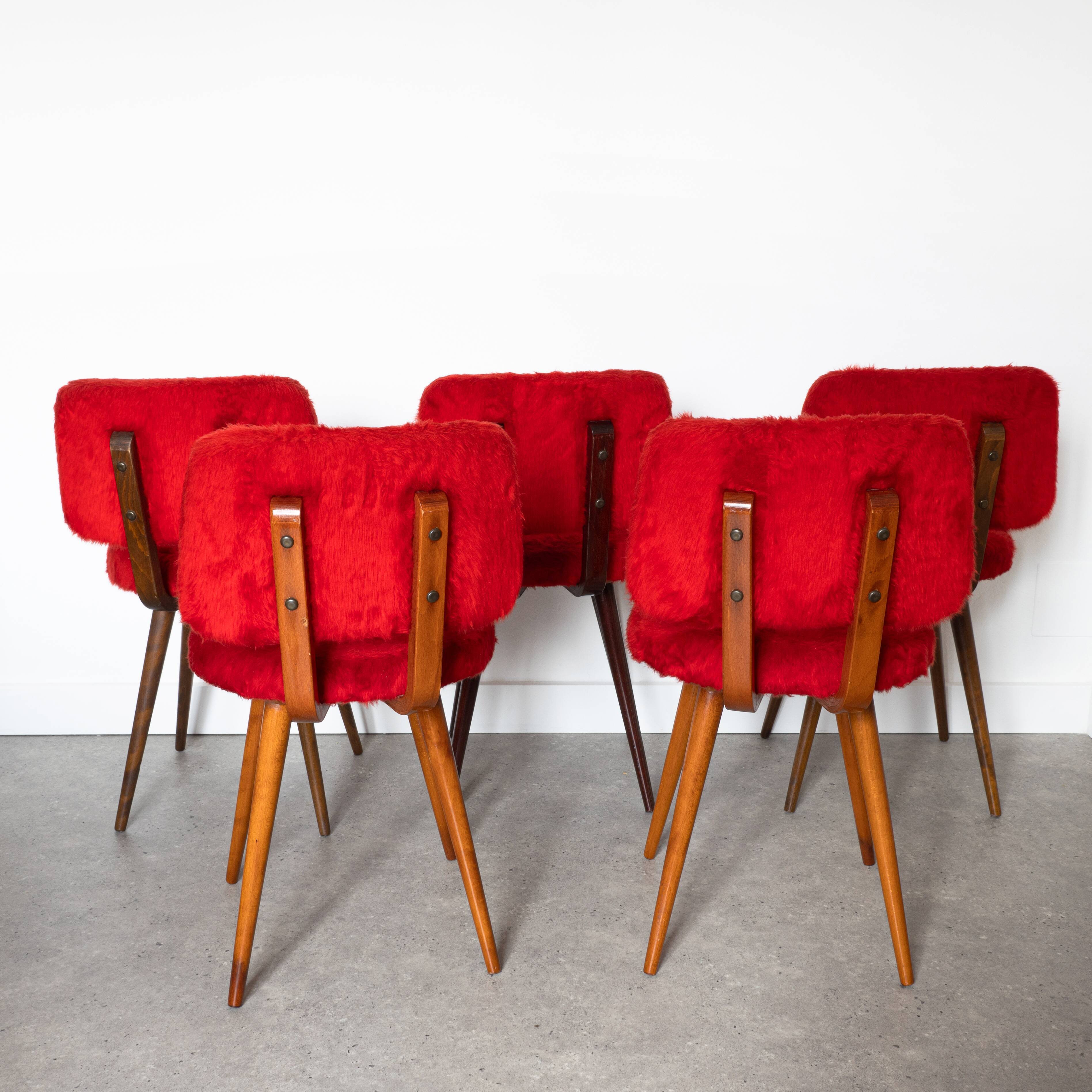Set of 5 wooden chairs with red Pelfran moumoute