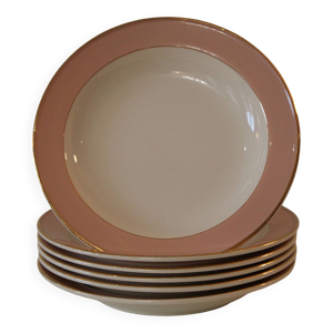 6 assiettes creuses rose
