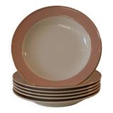 6 vintage rose gold Villeroy & Boch soup plates
