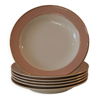 6 vintage rose gold Villeroy & Boch soup plates