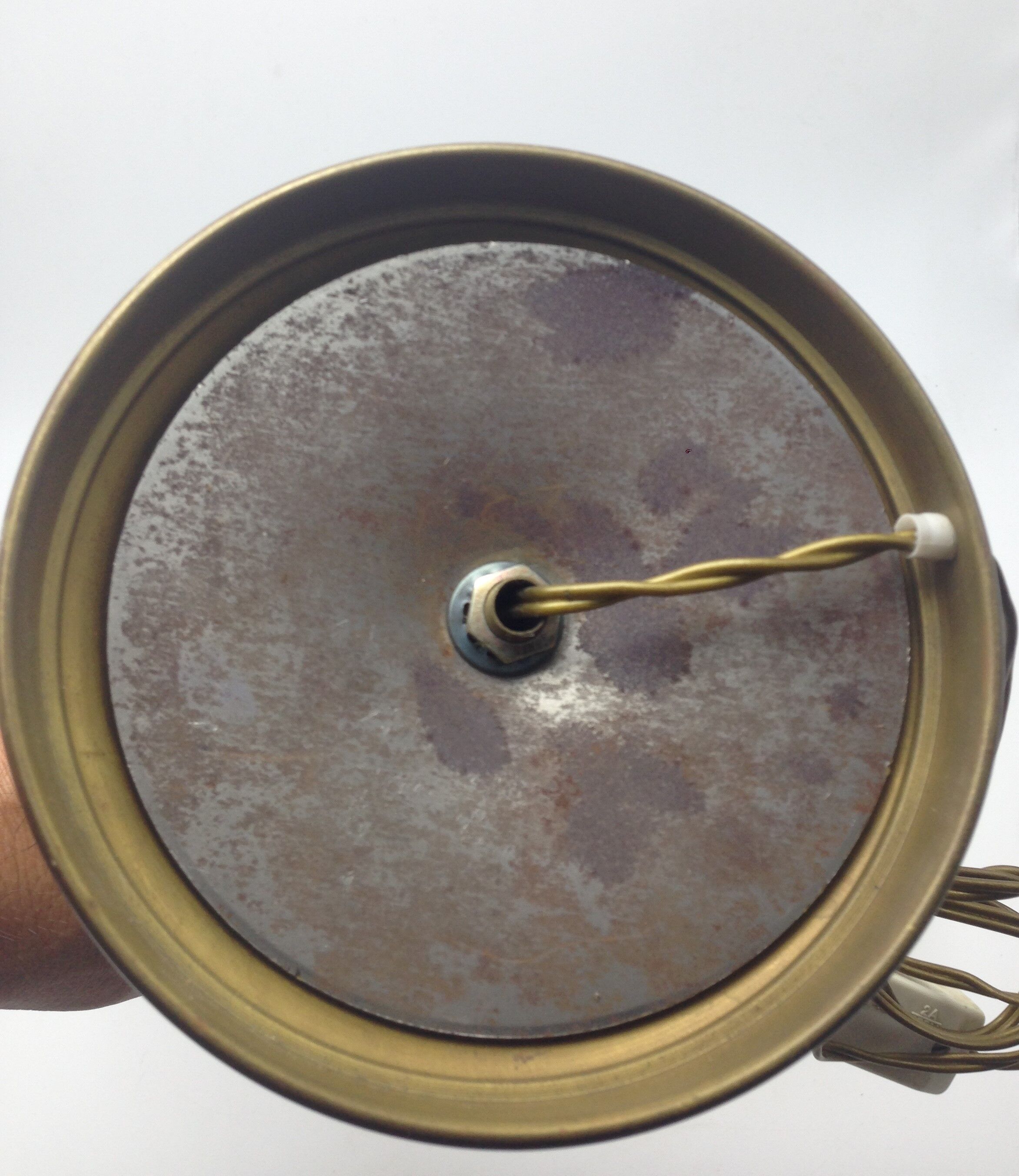 Old brass with tulip gooseneck light