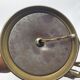 Old brass with tulip gooseneck light