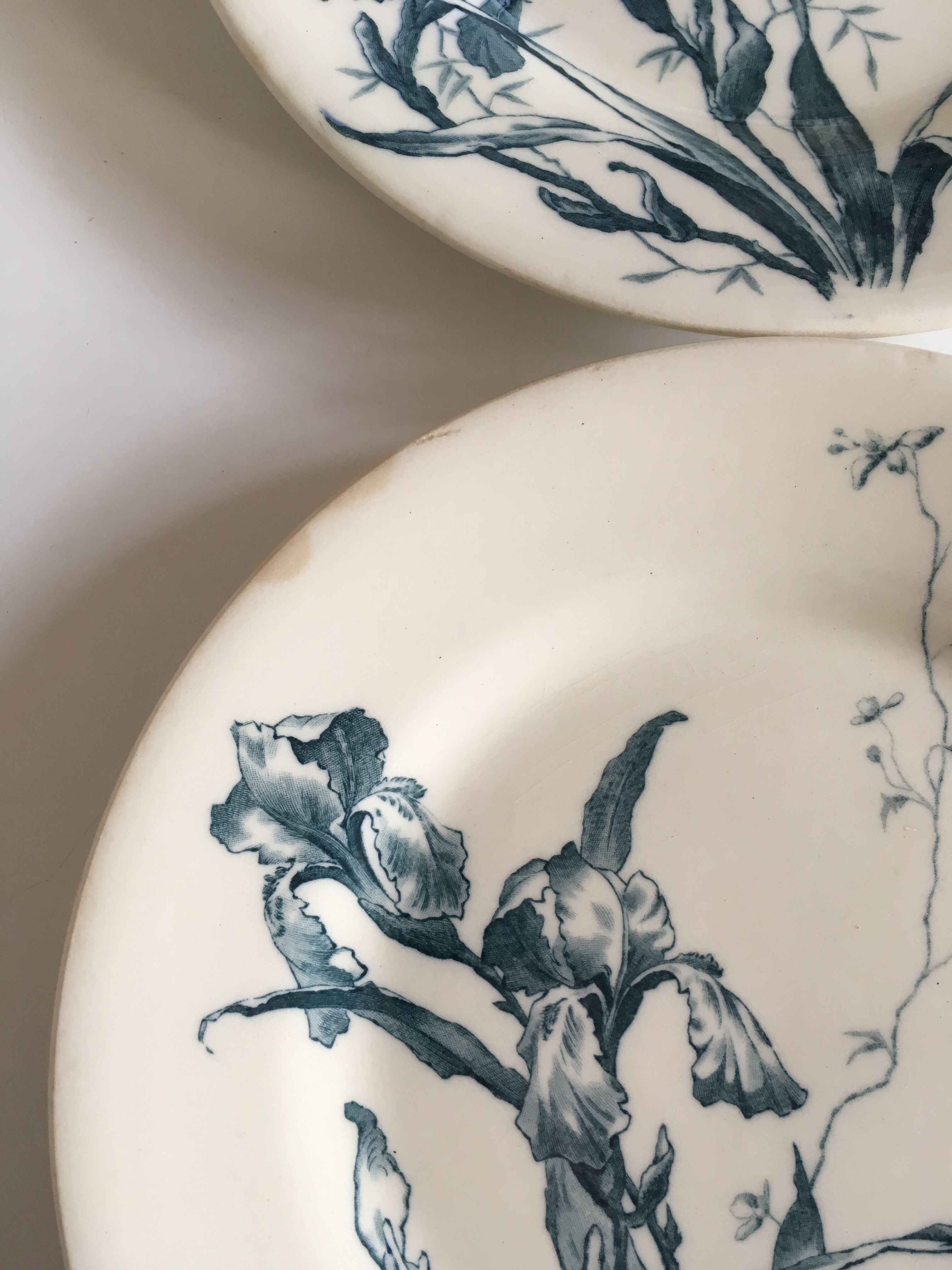 Faience of Gien Iris decoration plates