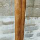 Parrot coatrack