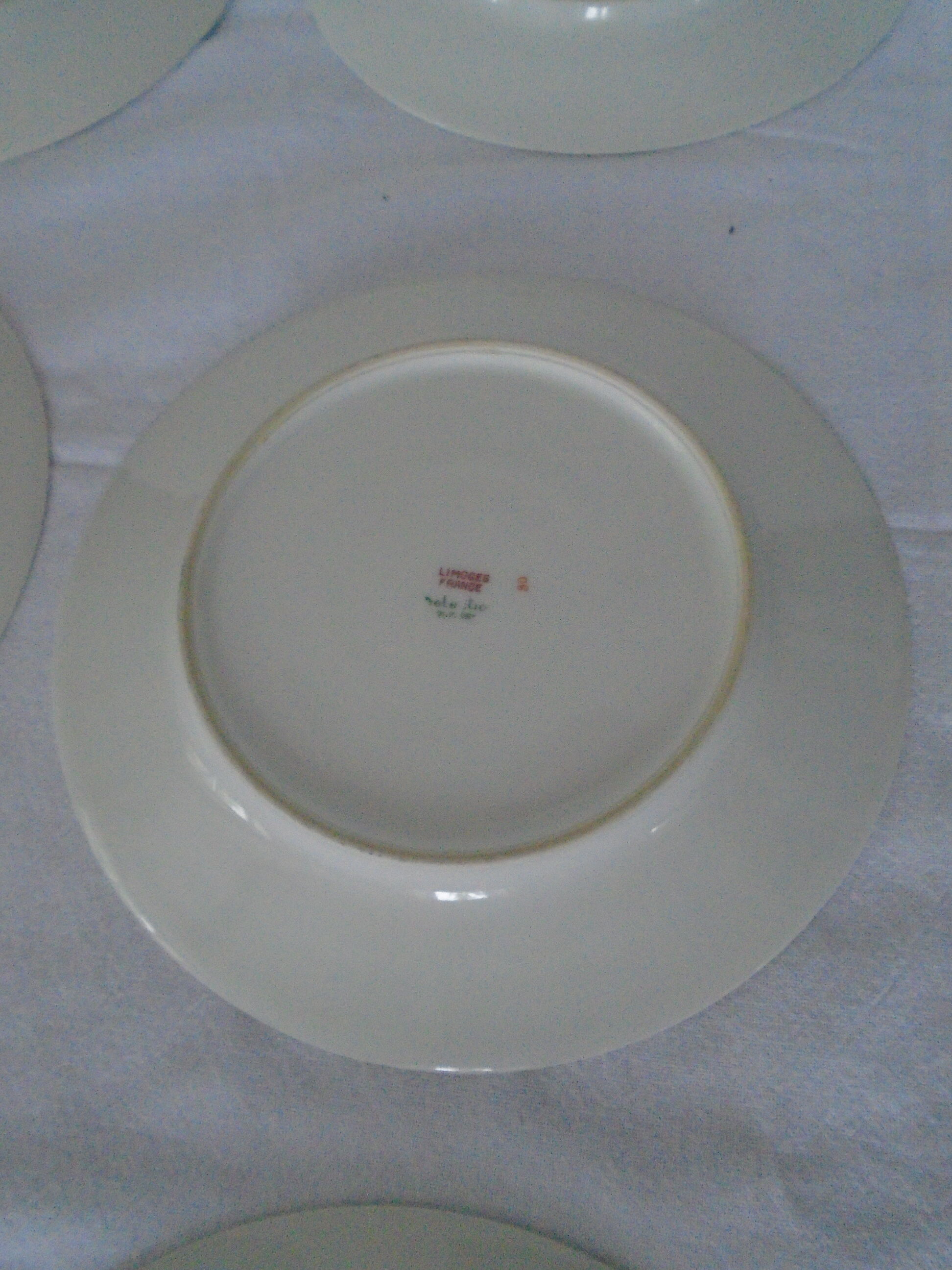9 plates dessert porcelain of Limoges decorated with small blue flowers