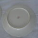 9 plates dessert porcelain of Limoges decorated with small blue flowers