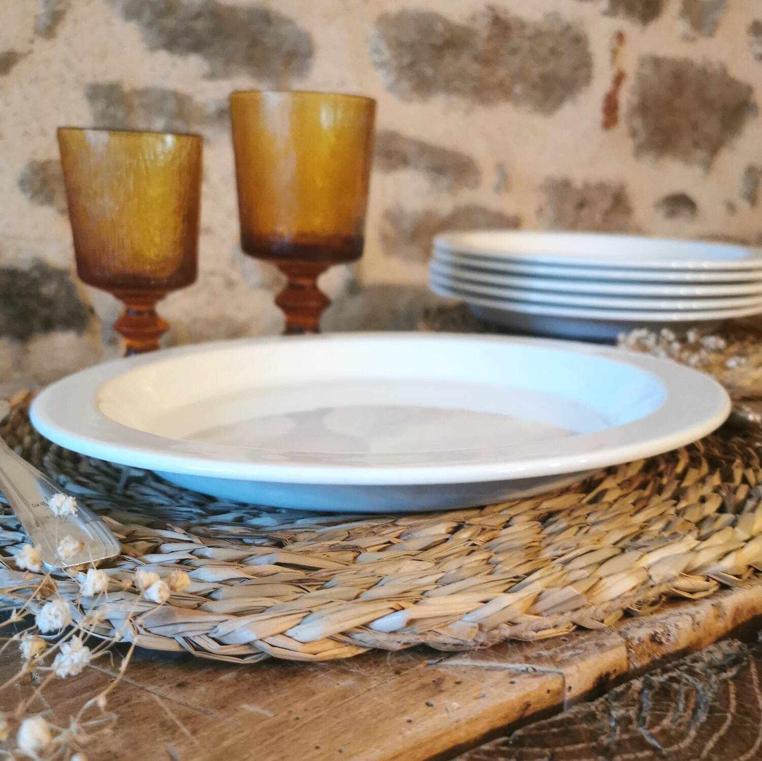 Vintage nesting dinner plates by Michel Hamon, Gien Prisunic