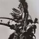 Silver photography Ceremonial character with headdress 44x44 cm