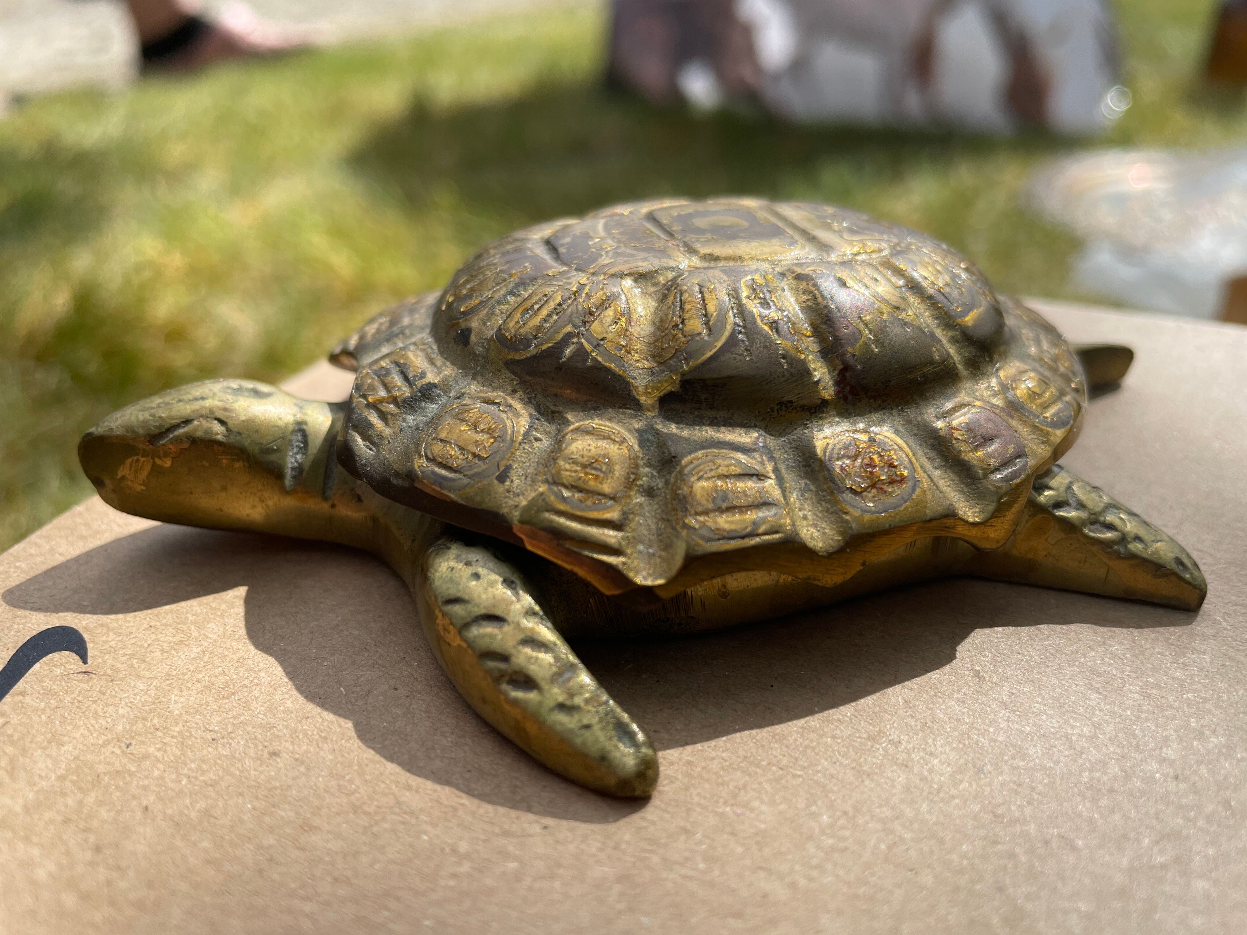 Brass turtle - opens and fits