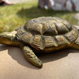 Brass turtle - opens and fits