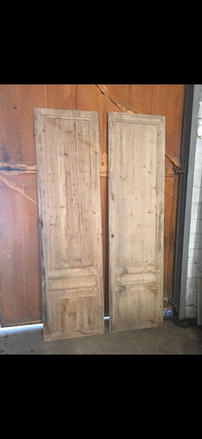 Pair of doors, 19th century