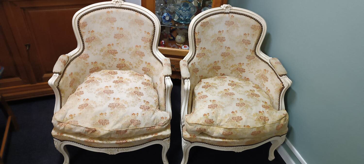 Paire de Fauteuils Bergère style Louis XV