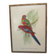 Engraving of ancient birds