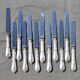 12 table knives in silver metal decor rocaille louis xv