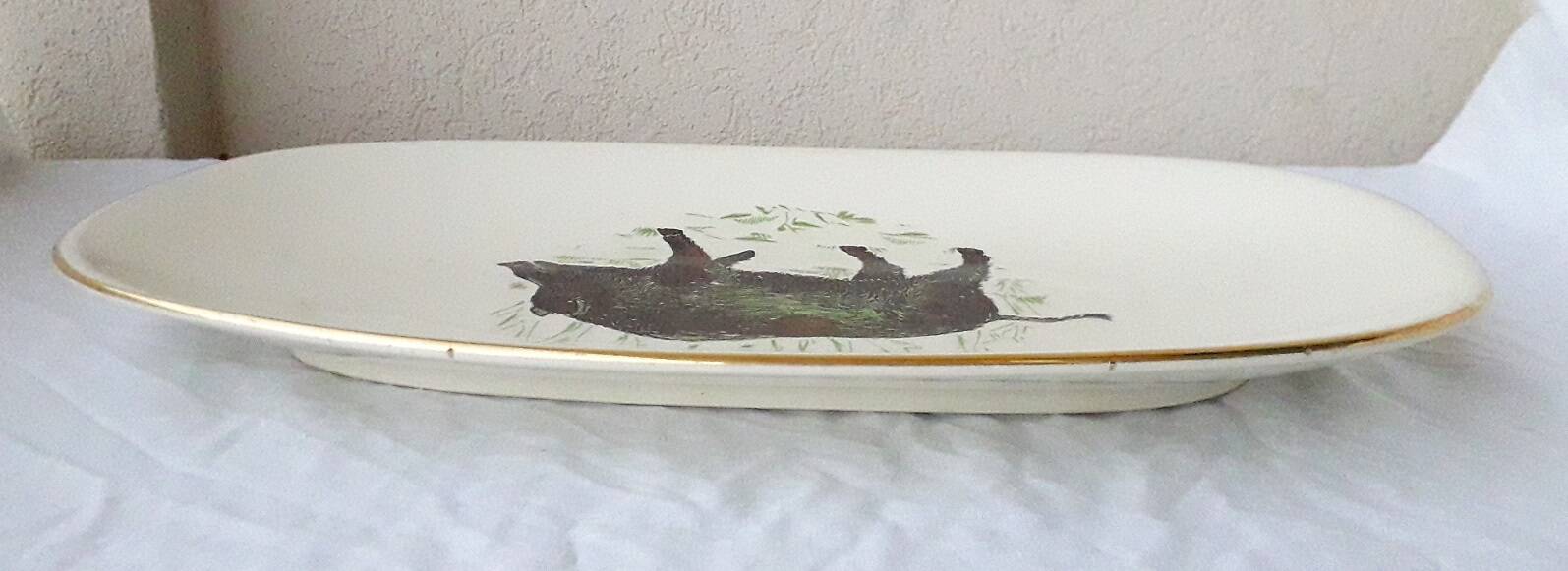 Boar dish