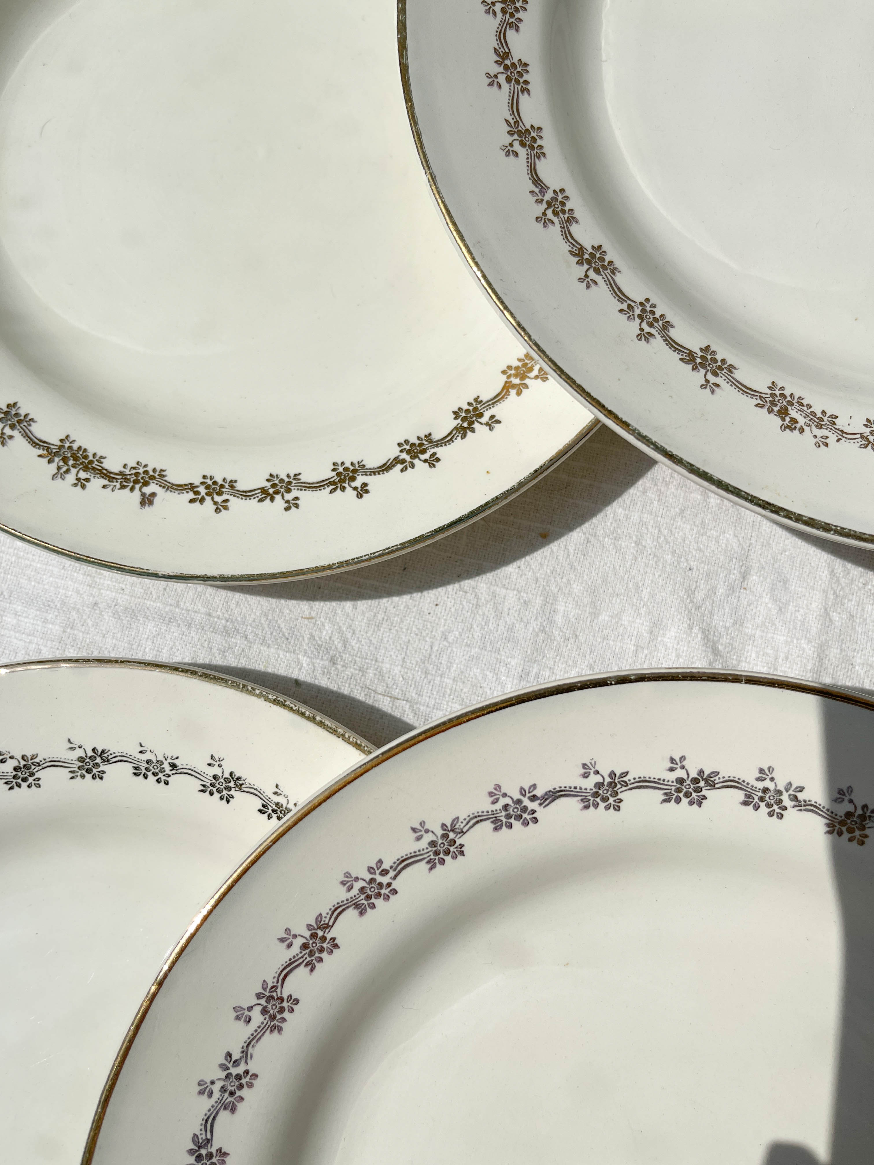 6 opaque porcelain dinner plates, Digoin model "Suzy"