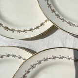 6 opaque porcelain dinner plates, Digoin model "Suzy"