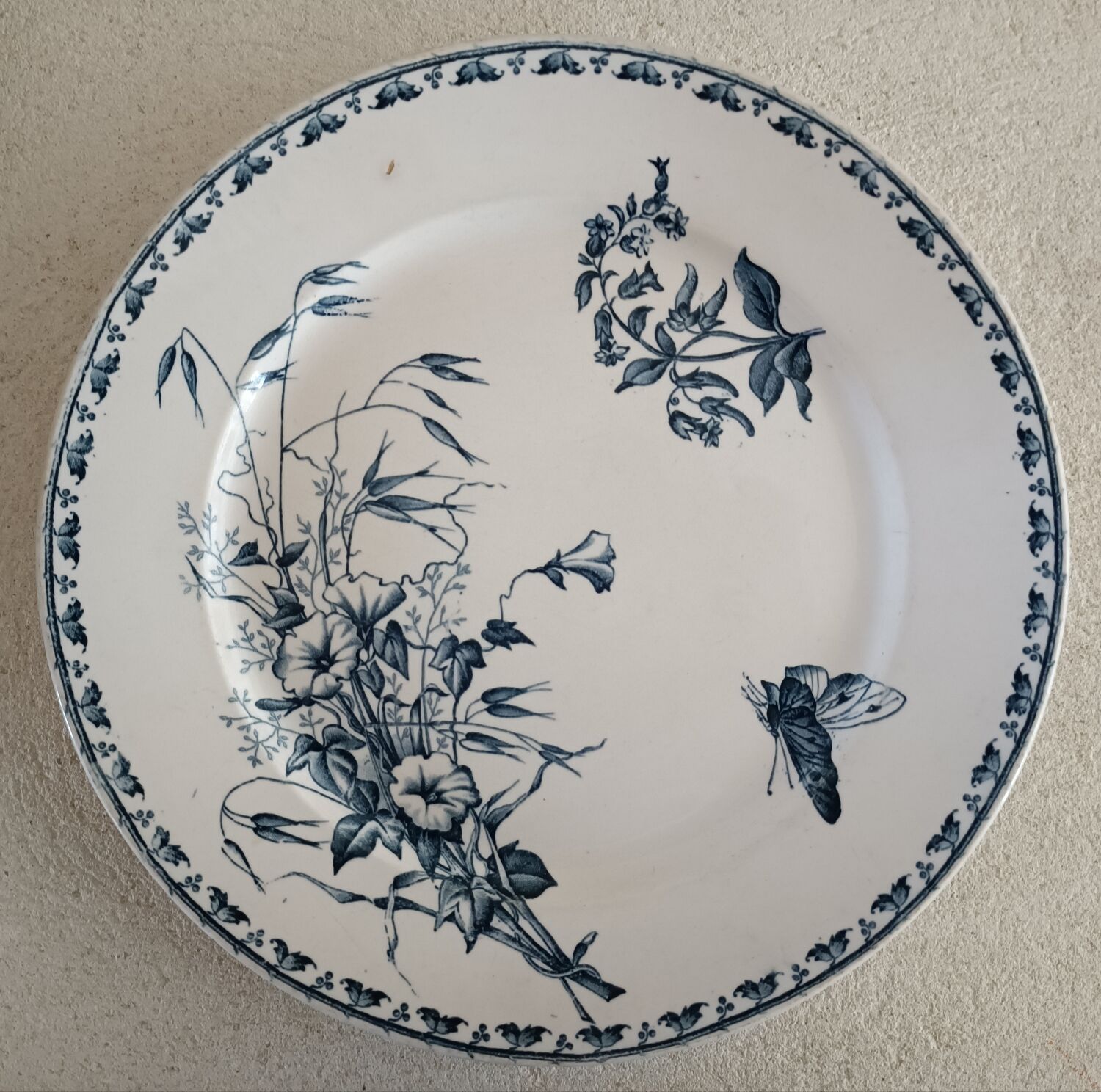 2 plates iron earth Sarreguemines