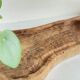 XL Vintage Olive Wood Cutting Board