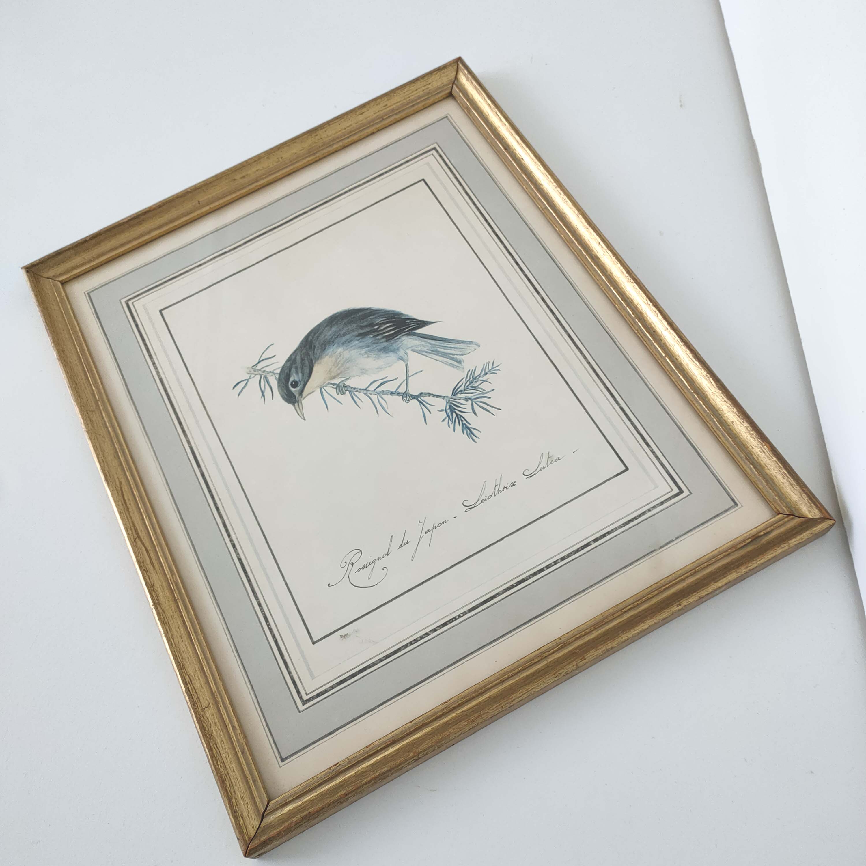 Golden frame engraving nightingale