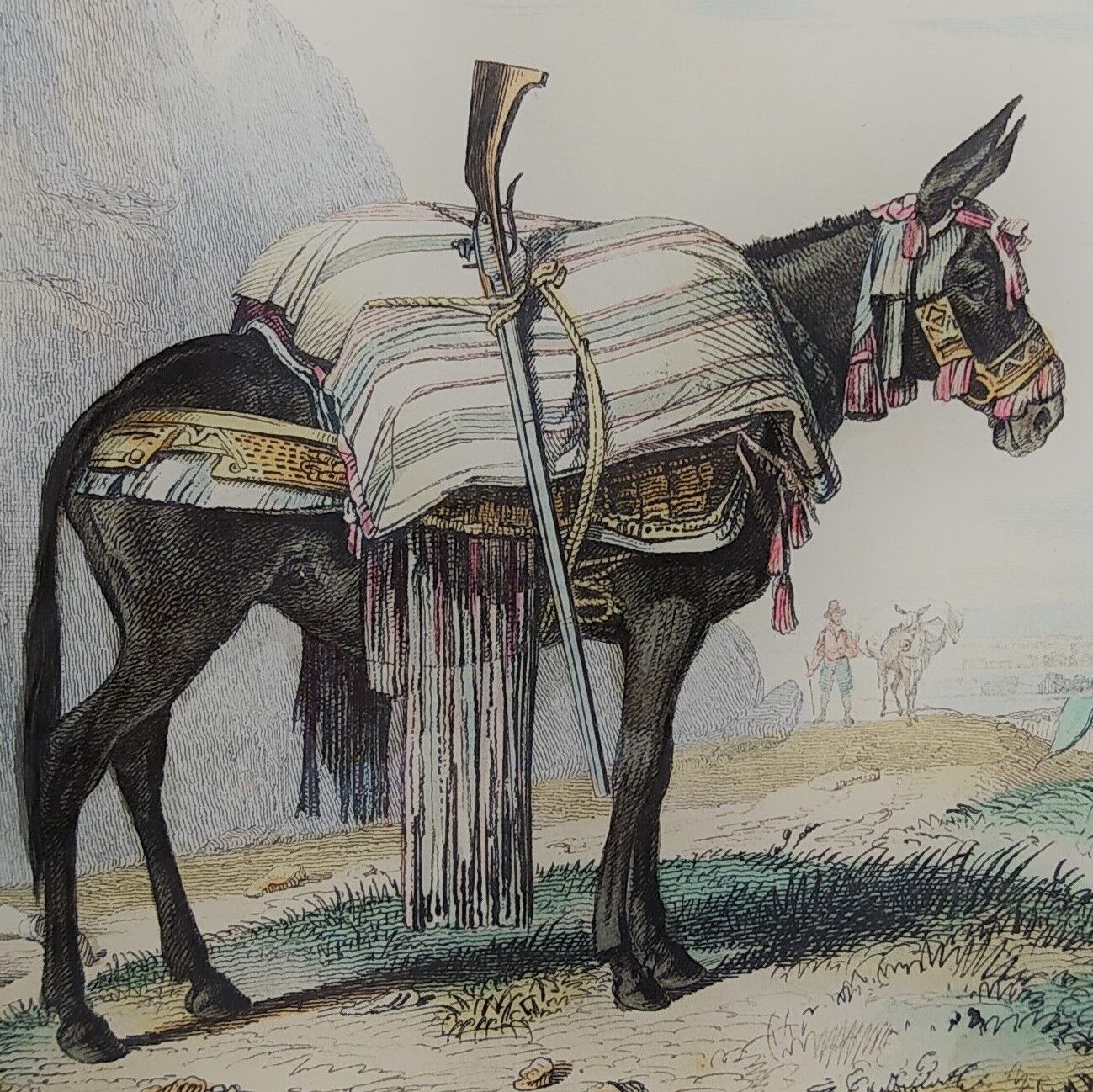 Original zoological illustration "mule" - Buffon 1840