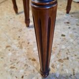 Pair of blue velvet medallion chairs