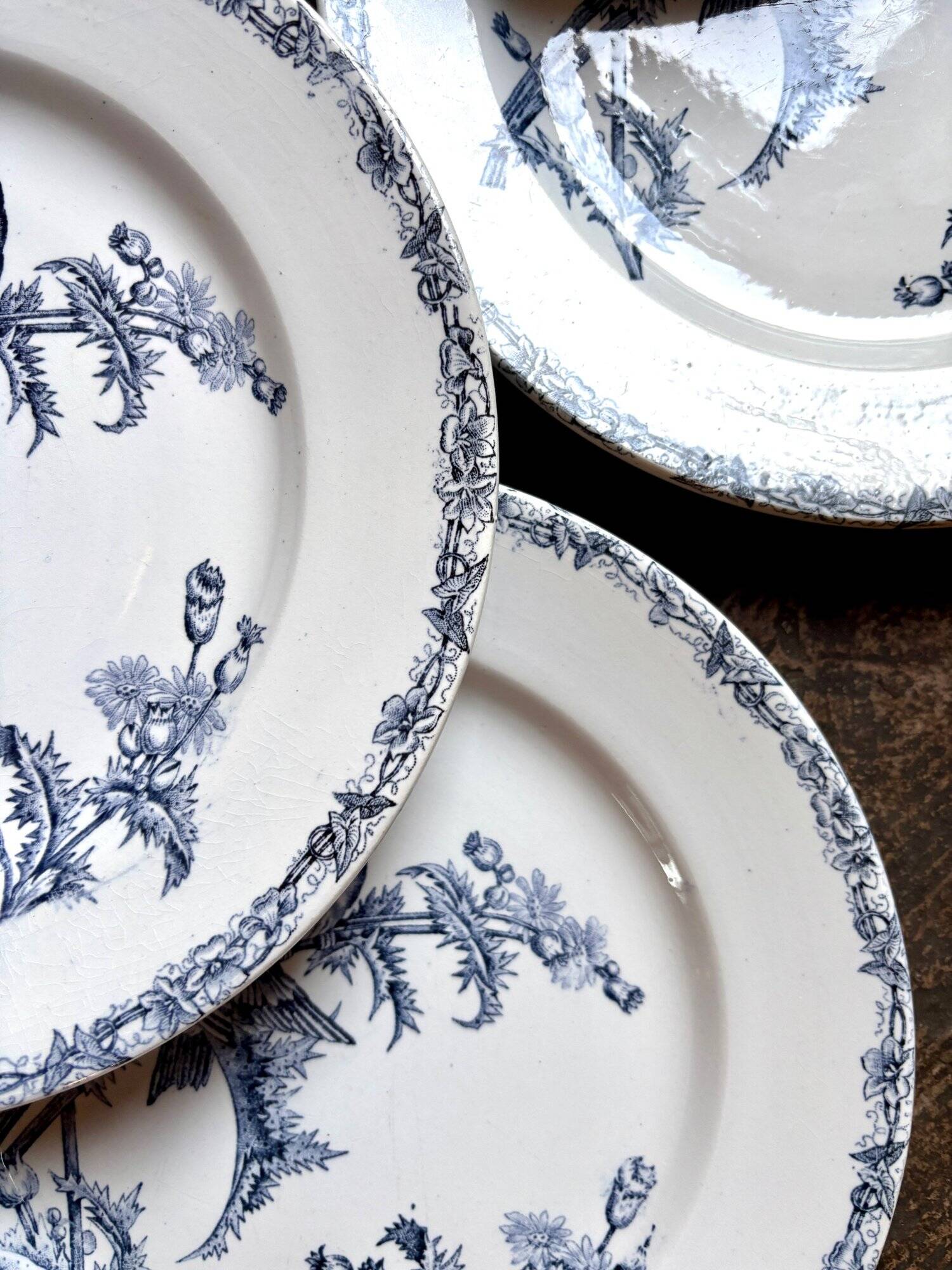 6 flat plates Clairefontaine - Léon Graves in ironstone, "Chardonnerets" service from the late 19th century.
