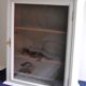 Armoire murale