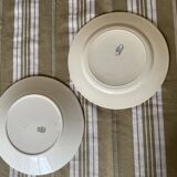 Mismatched ironstone plates