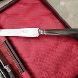 Case knives horn handles