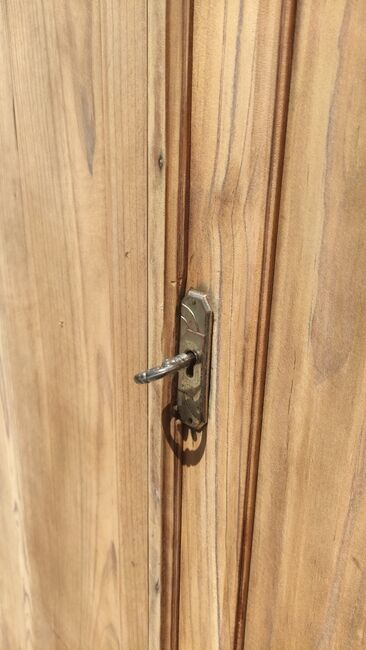 Parisian wardrobe in natural wood