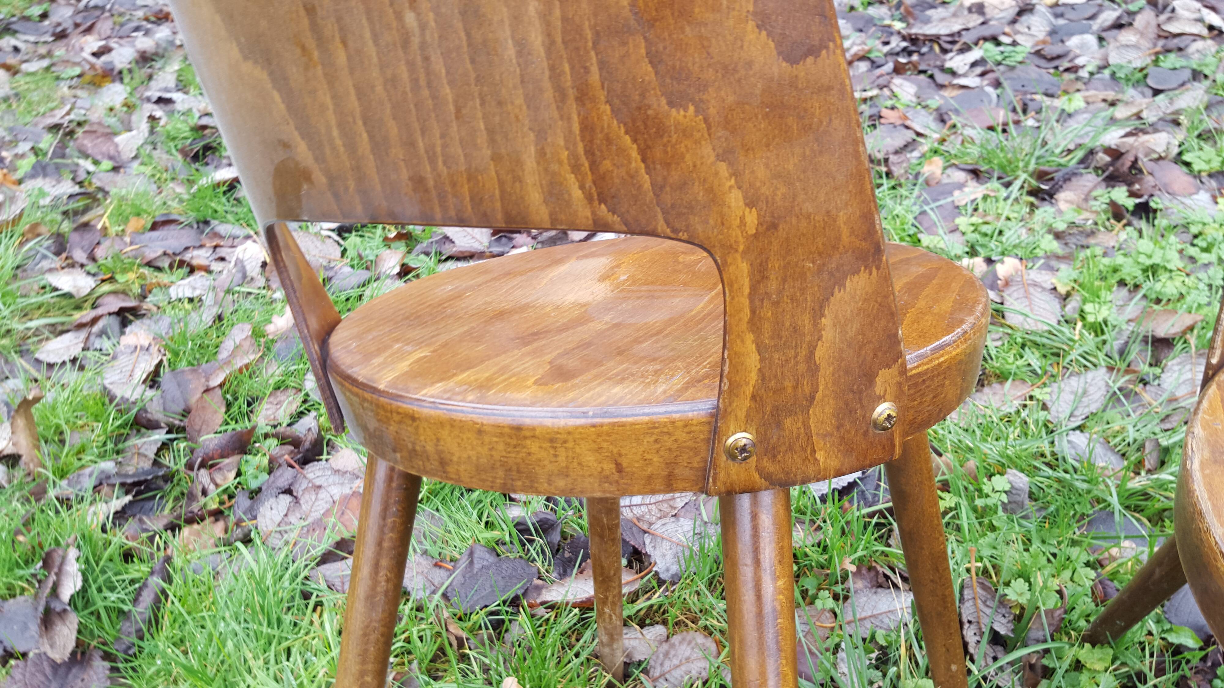 4 Chairs Baumann model Mondor 60s