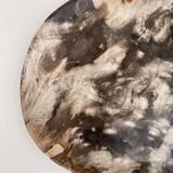 Very large empty pocket or dish in medium light petrified wood 1143