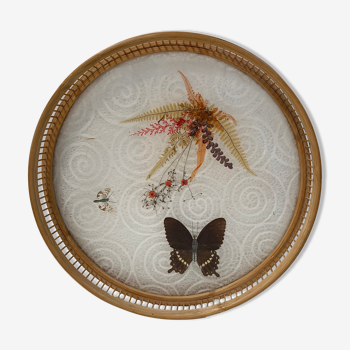 Vintage butterfly serving tray