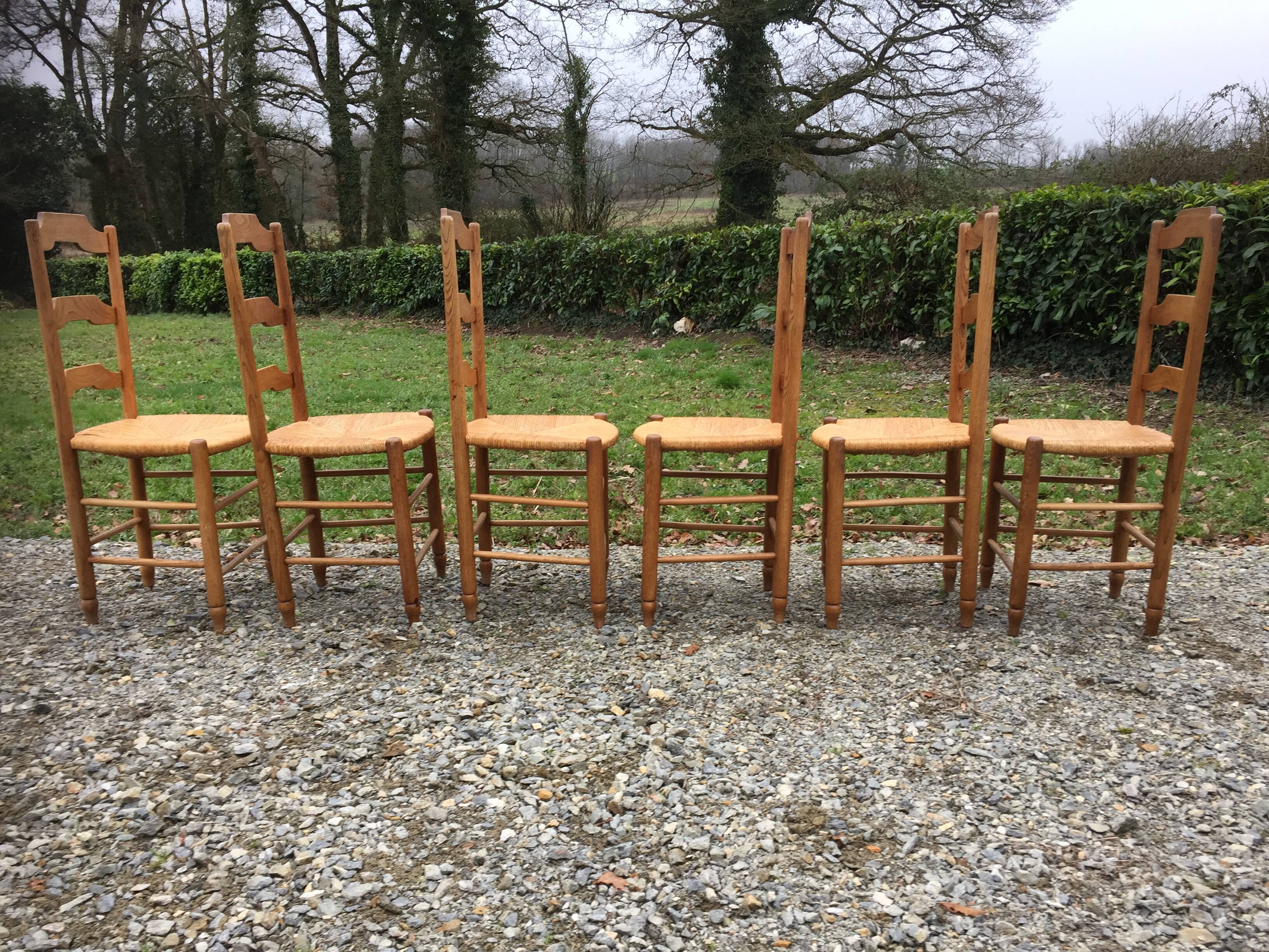 6 vintage mulched oak chairs