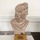Terracotta bust of Apollo