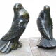Serres livres oiseaux anciens