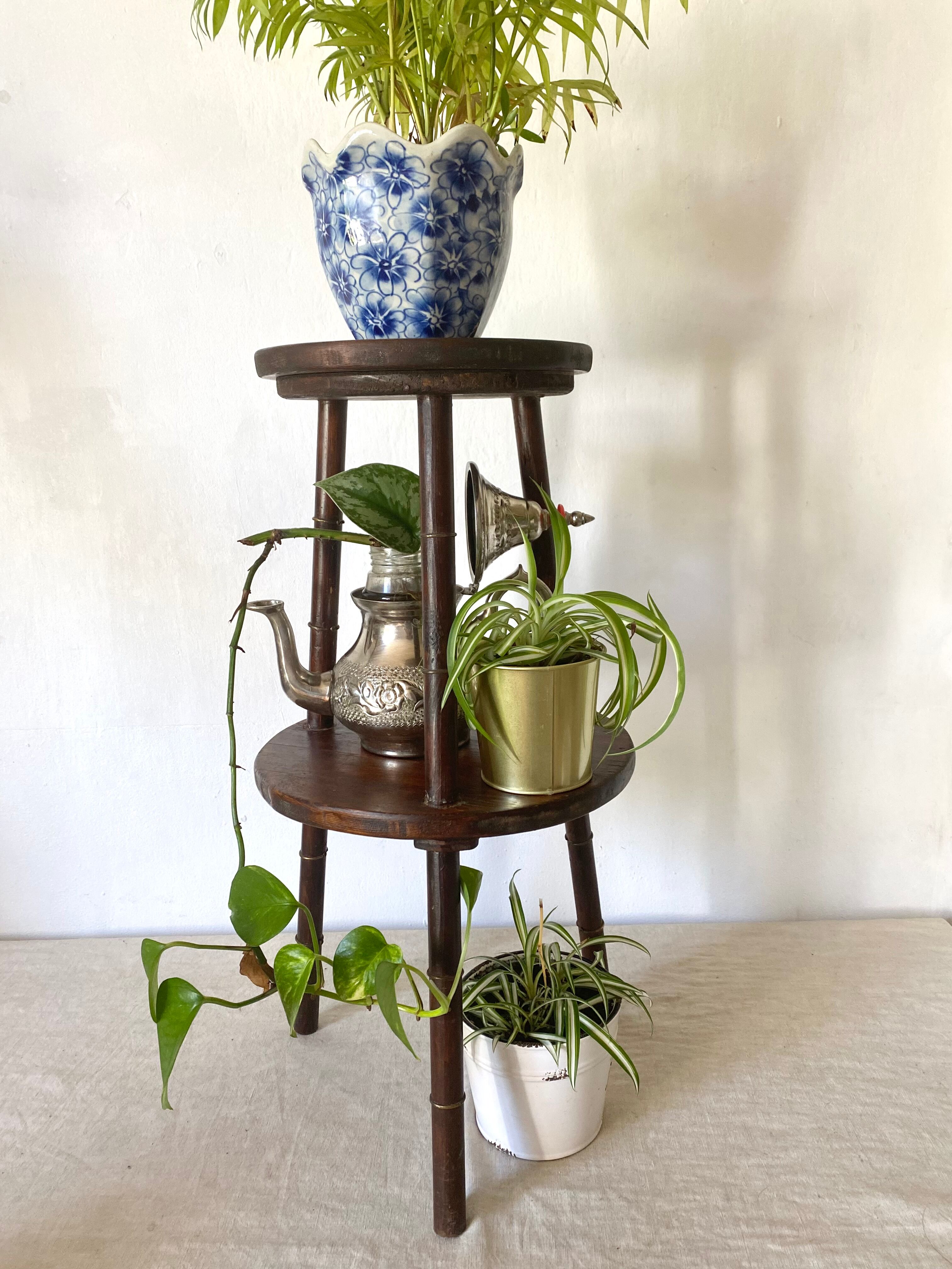 Plant holder, harness 2 trays