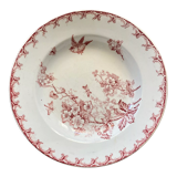 Plate Hawthorn Terre de Fer