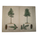 Planche botanique 1870 - Sapins - Gravure ancienne arbre